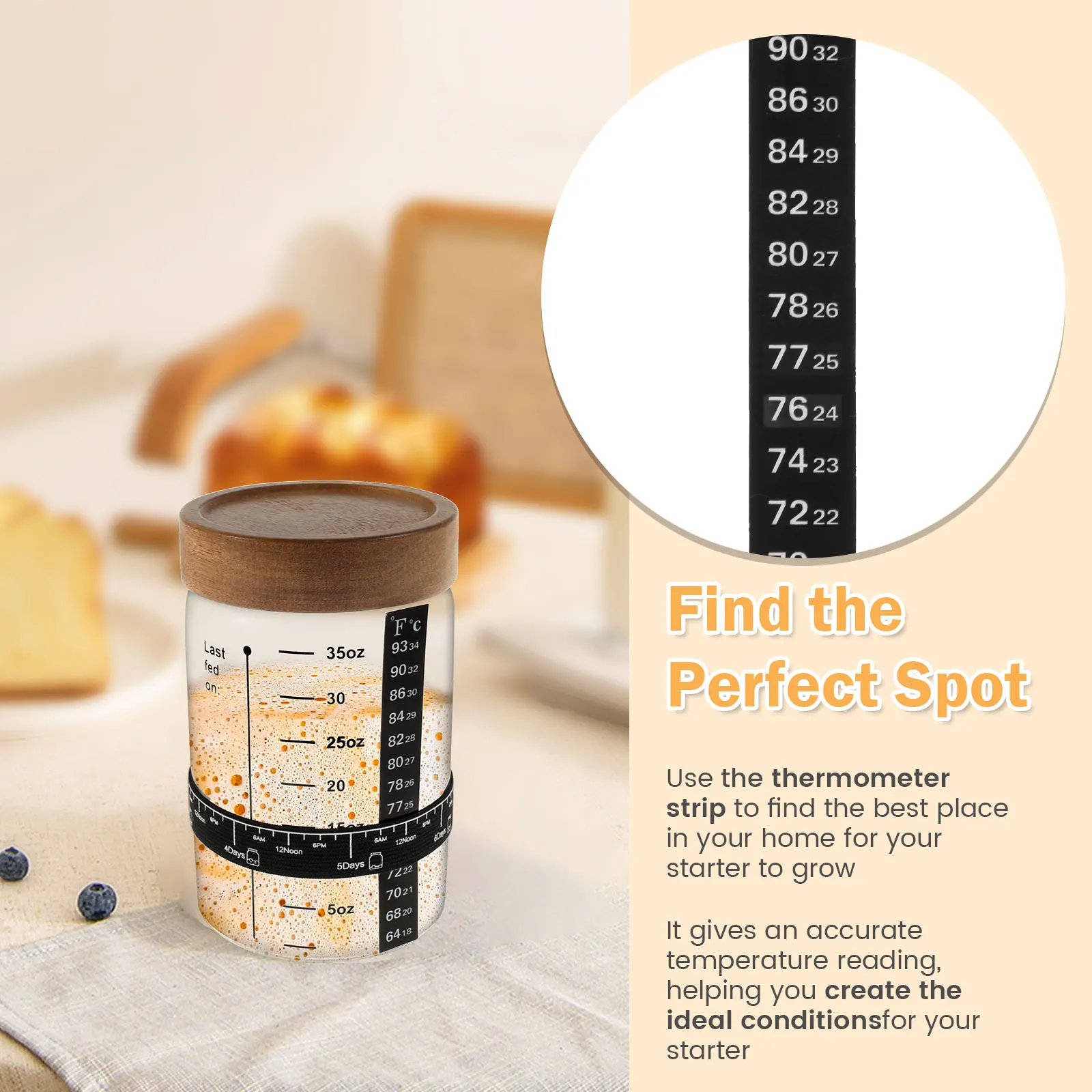 Sourdough Starter Jar Kit 1000 - Kitchen Baking Soda ulasan dan harga