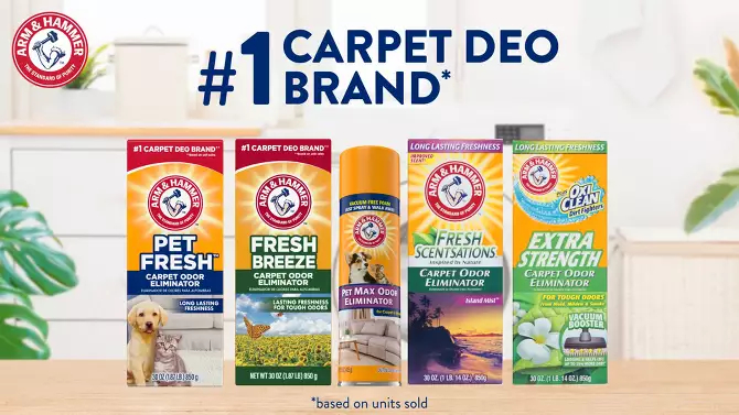 Household Carpet Cleaning Powd - Kitchen Baking Soda ulasan dan harga