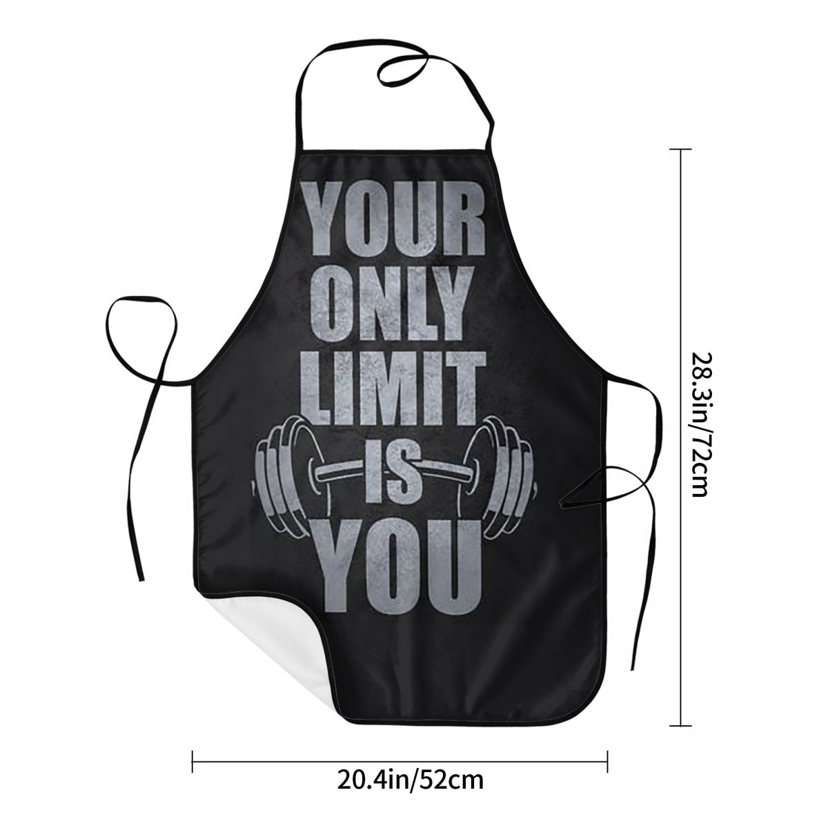 Gym Sport Bodybuilding Workout - Kitchen Baking Quotes ulasan dan harga